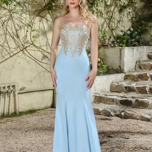 kf-S85d5b33ce6ed4d55beedd2a9dd56e8abe Women's Formal Evening Dresses Sheer O-Neck Sleeveless Illusion Back Mermaid Dress Lace Applique Bodycon Floor-Length Prom Gowns